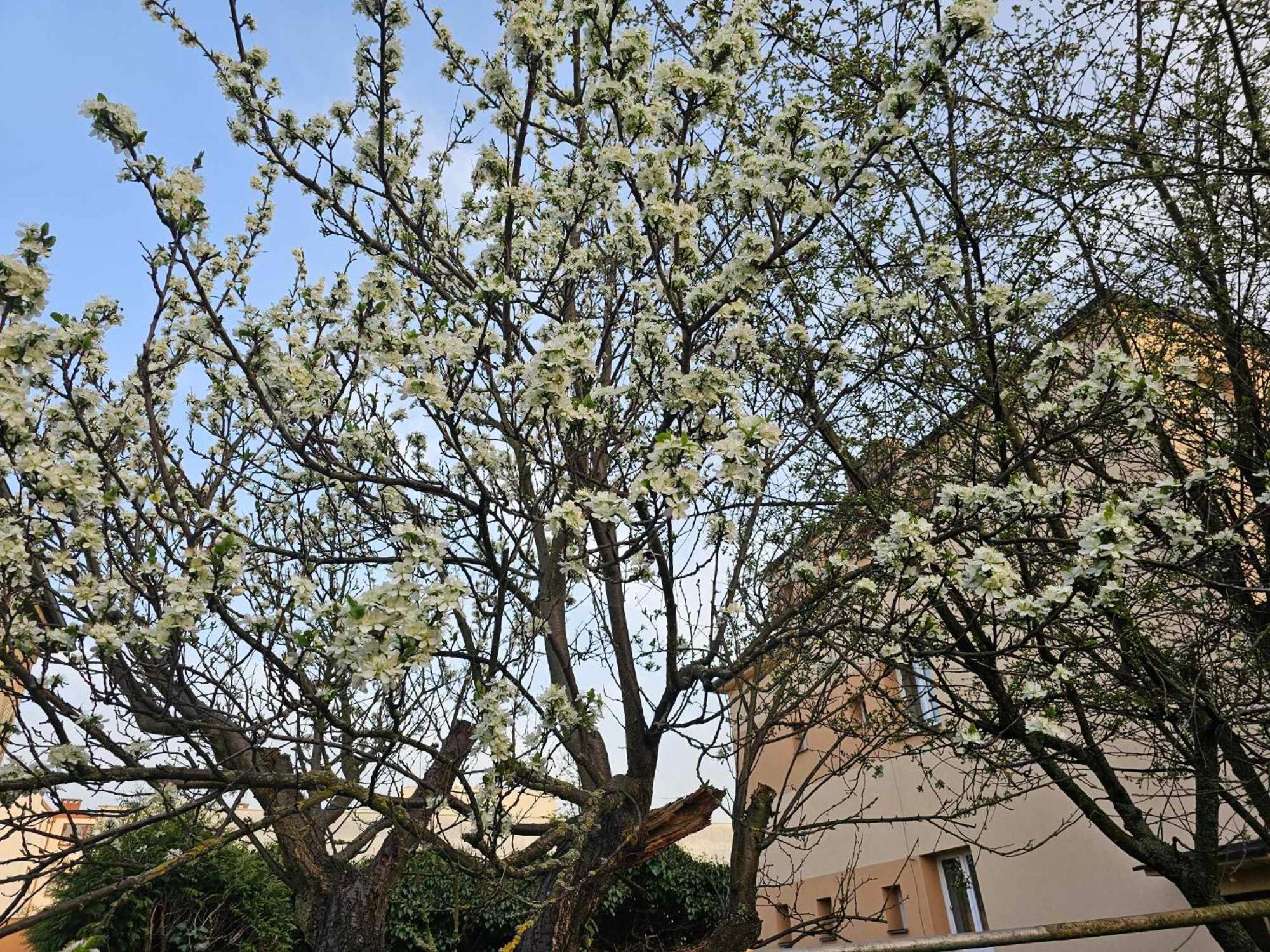 Slunny Byt V Klidne Casti Hradce Kralove - Zahrada, Parkovani Zdarma Hradec Kralove Exterior photo